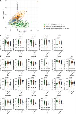 The co-inhibitory receptor TIGIT regulates NK cell function and is upregulated in human intrahepatic CD56bright NK cells